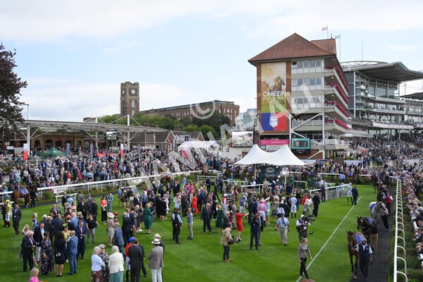 yr18082021r1-20 - Race 1 1.50pm Sky Bet & Symphony Group Stakes