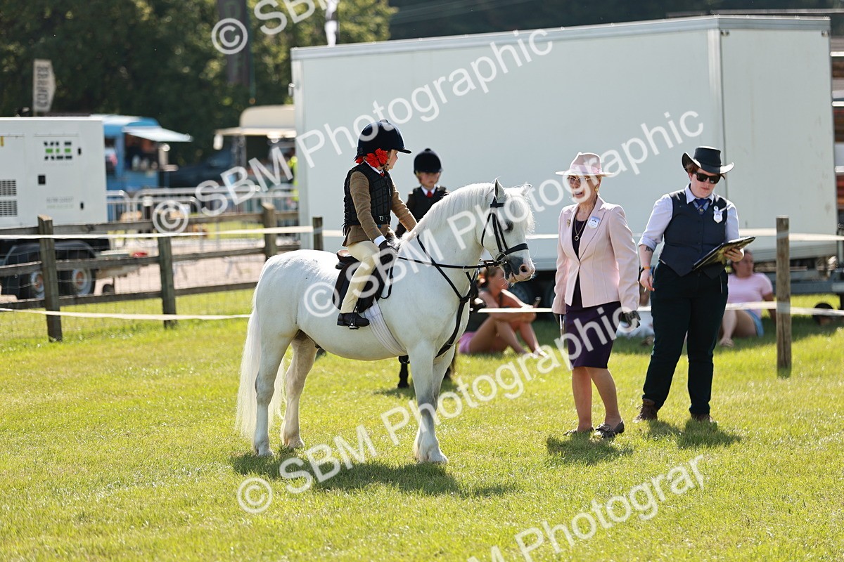 SBM_12740 - Class 106-107 - BSPS LIHS Working Sports Pony