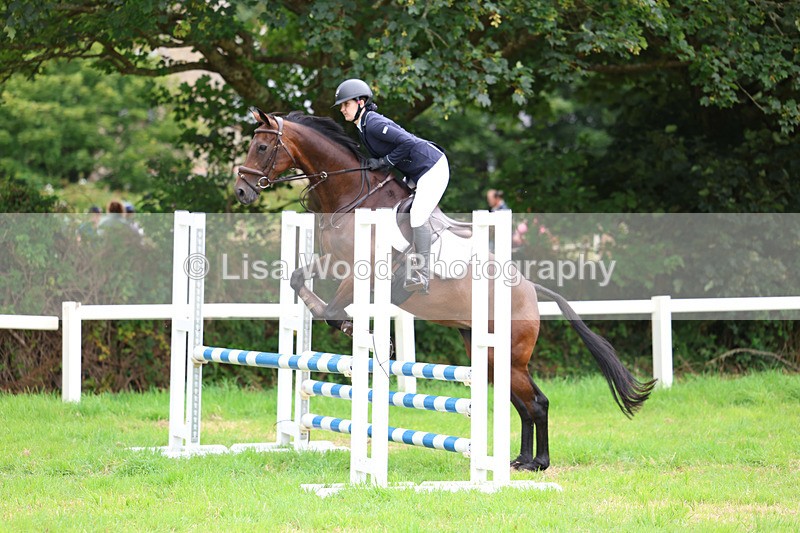 3E7A7252 - Class 5: Senior British Novice/90cm open