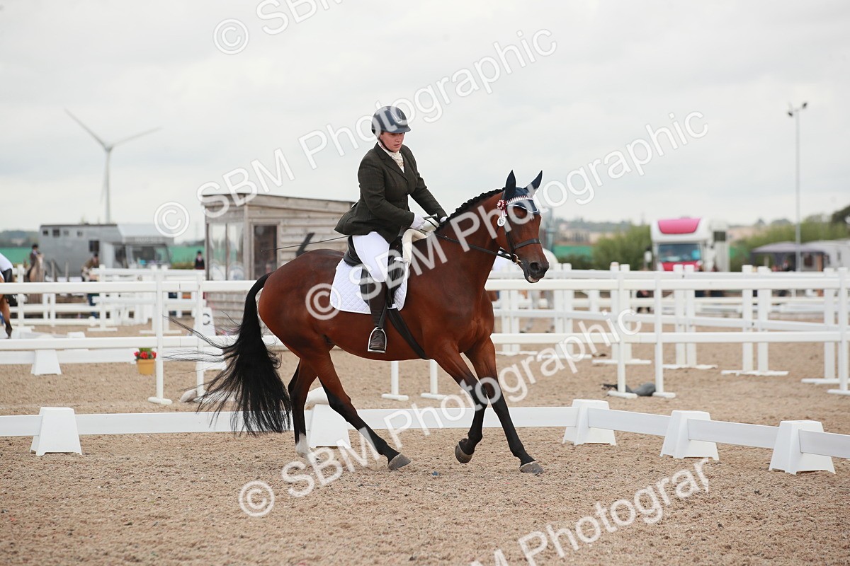 SBM_03790 - Class 31 - Prelim 1