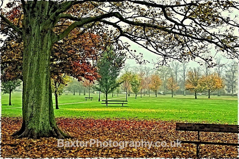 *A best seller. Shades Of Green And Brown - Harrogate Town