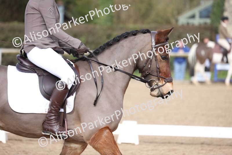 20260228-0341 - Class 3 - Prelim 1