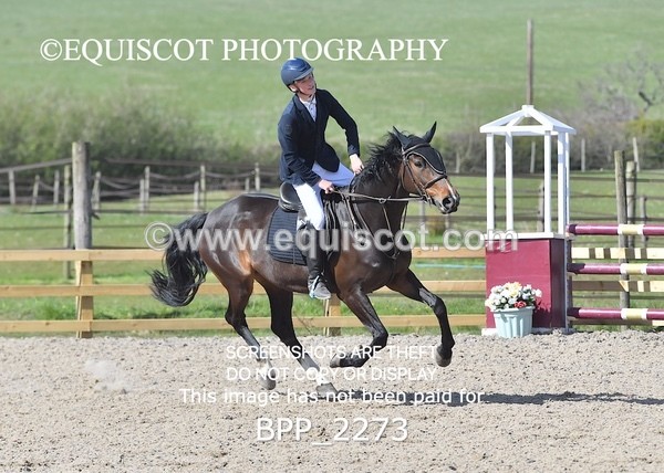 BPP_2273 - CLASS 22 SUN Senior BritiNovice/ 90cm Open