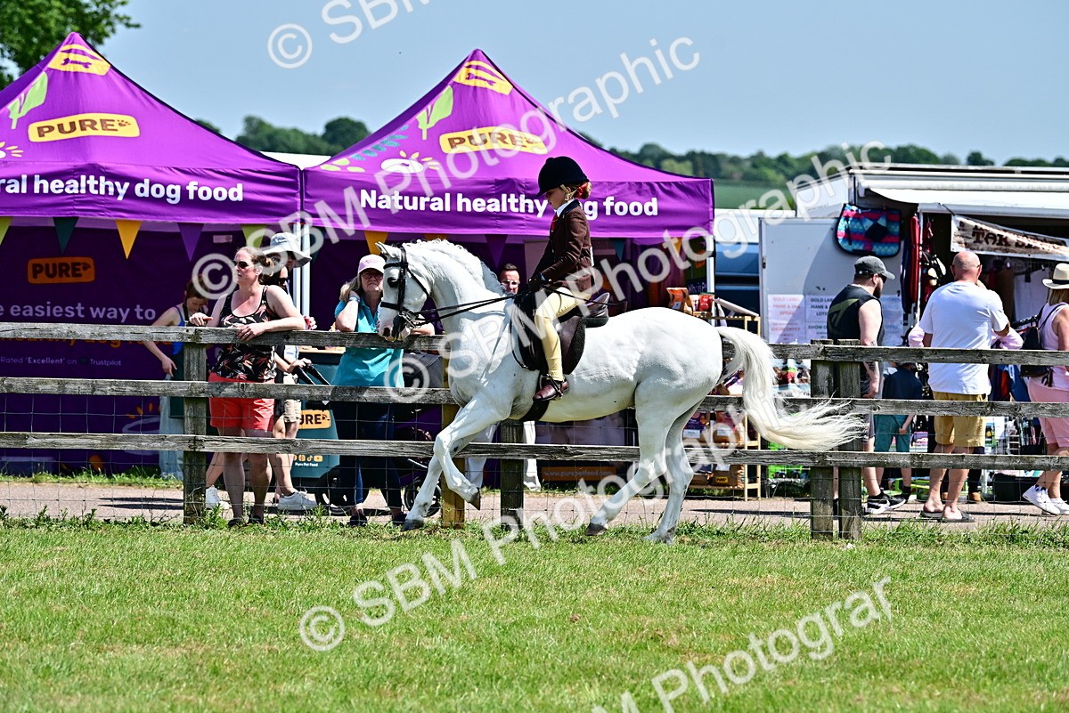 SBM_15302 - Class 95-97 - BSPS LHS Performance Ponies