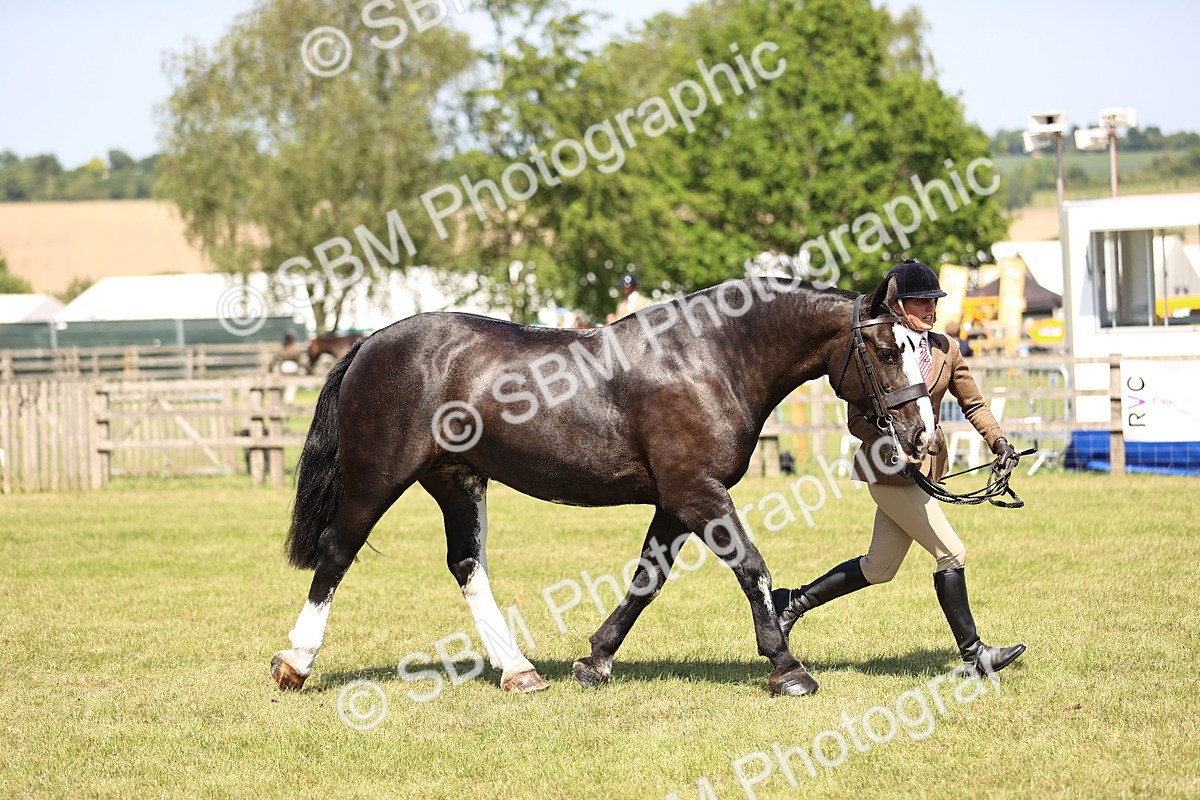 SBM_17928 - Class 81-83 - TSR Ridden Amateur of the Year - Horses