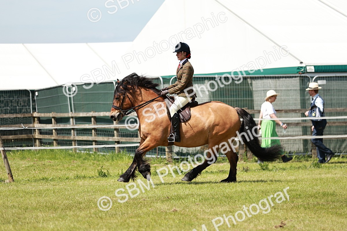 SBM_07074 - Class 26-30 - Mountain and Moorland Ridden