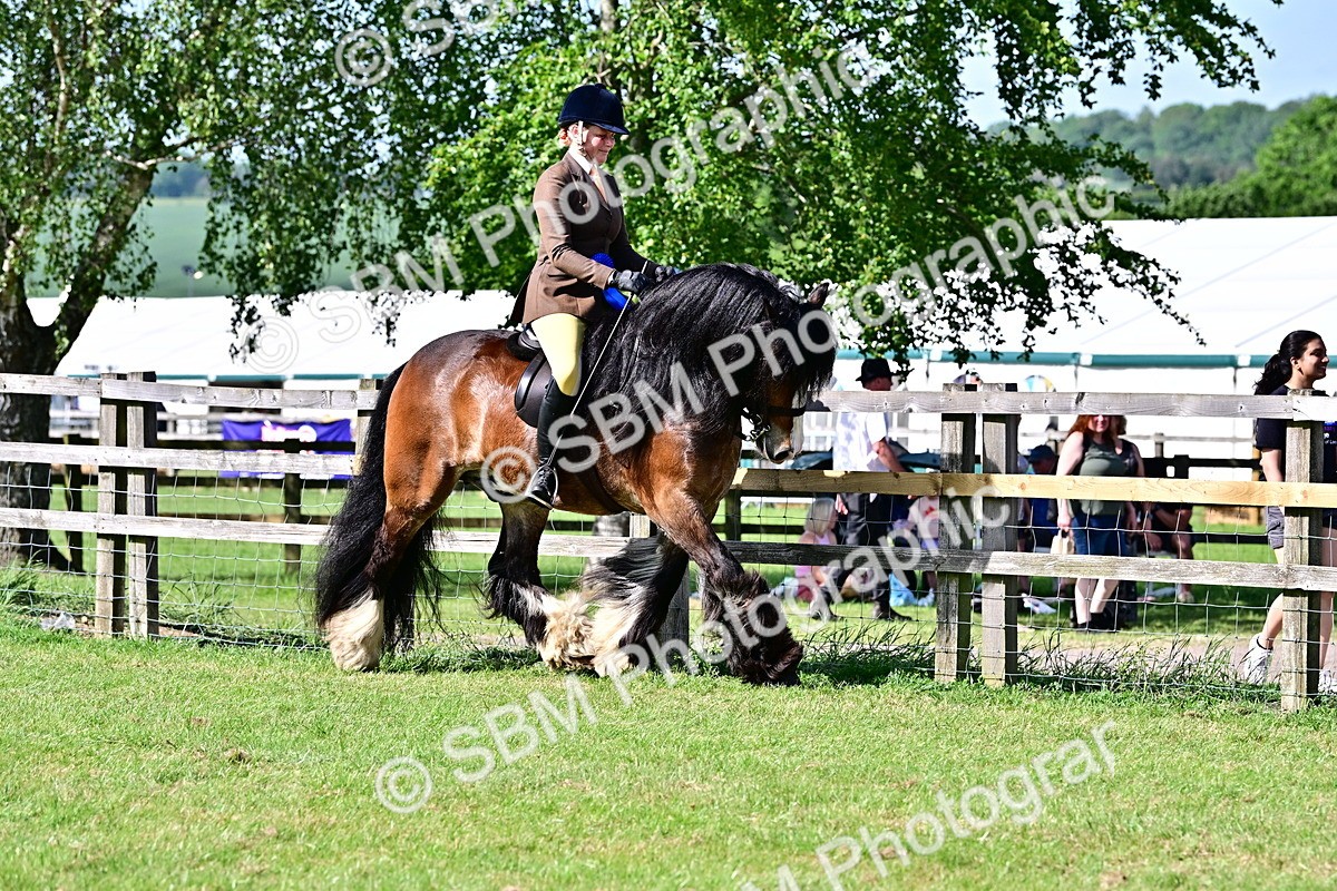 SBM_09474 - Class 63-65 - Traditional Gypsy Cobs In Hand & Ridden