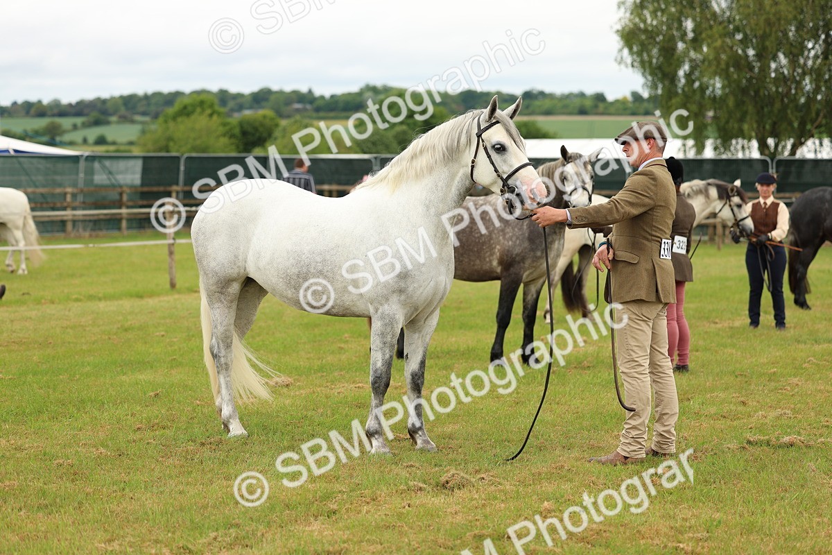 SBM_04083 - Class 64-67 - Shetland Pony In Hand