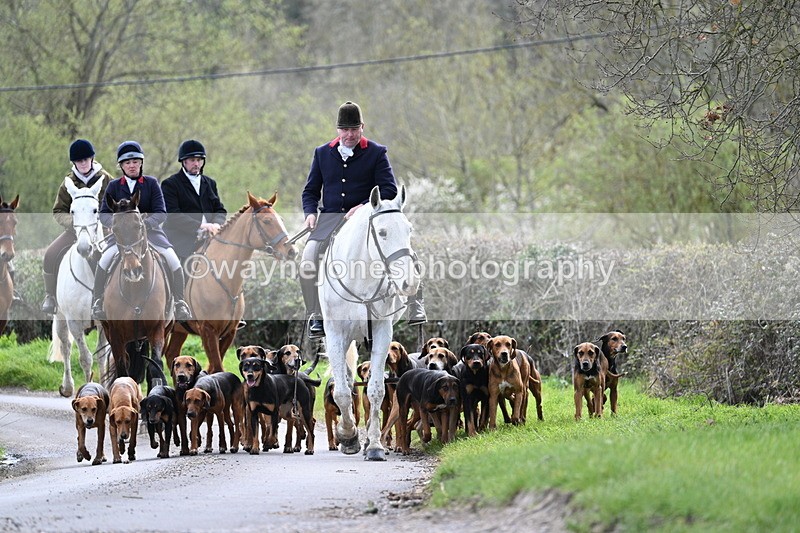 WJ7_9764 - Walk Home