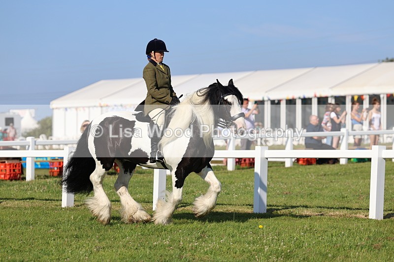 IMG_1487 - Class 30: Ridden Native/Trad Coloured Pony