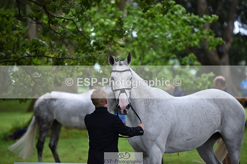 240522-155234-00546 - 111-FATHERS_COMPROMISE-Finn_Healy