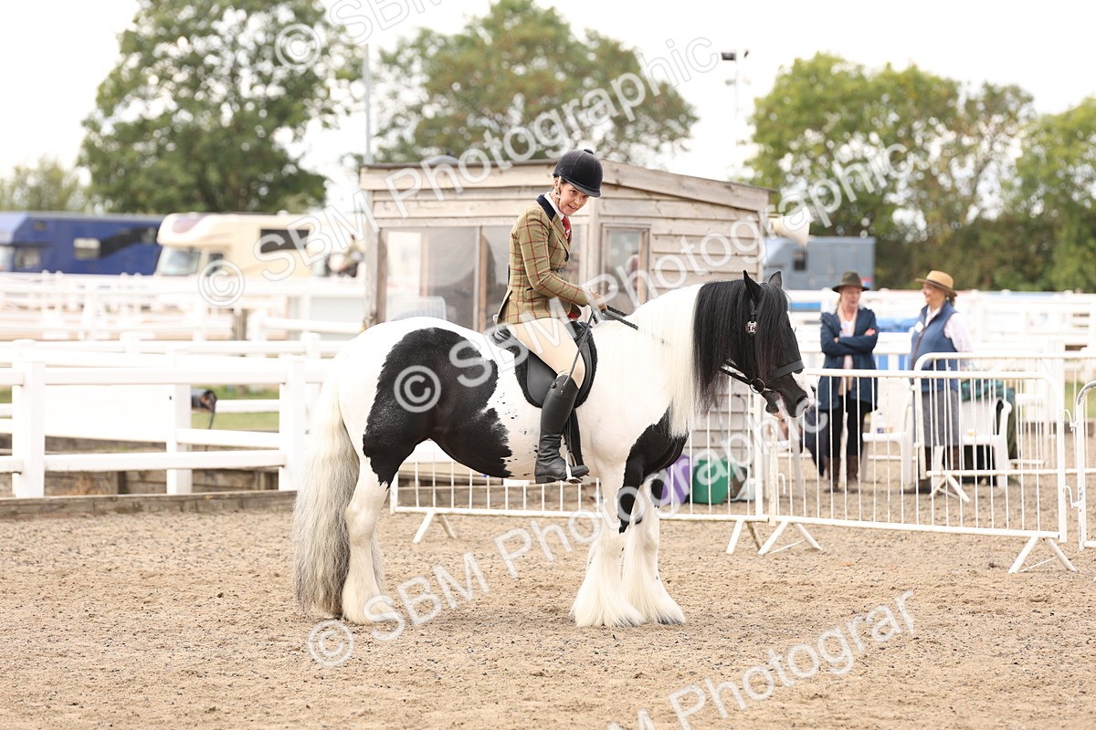 SBM_04242 - Class 54 - Riding Club Horse/Pony