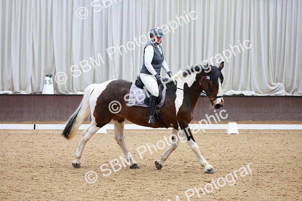 SBM_002873 - Class 14 - Novice 2