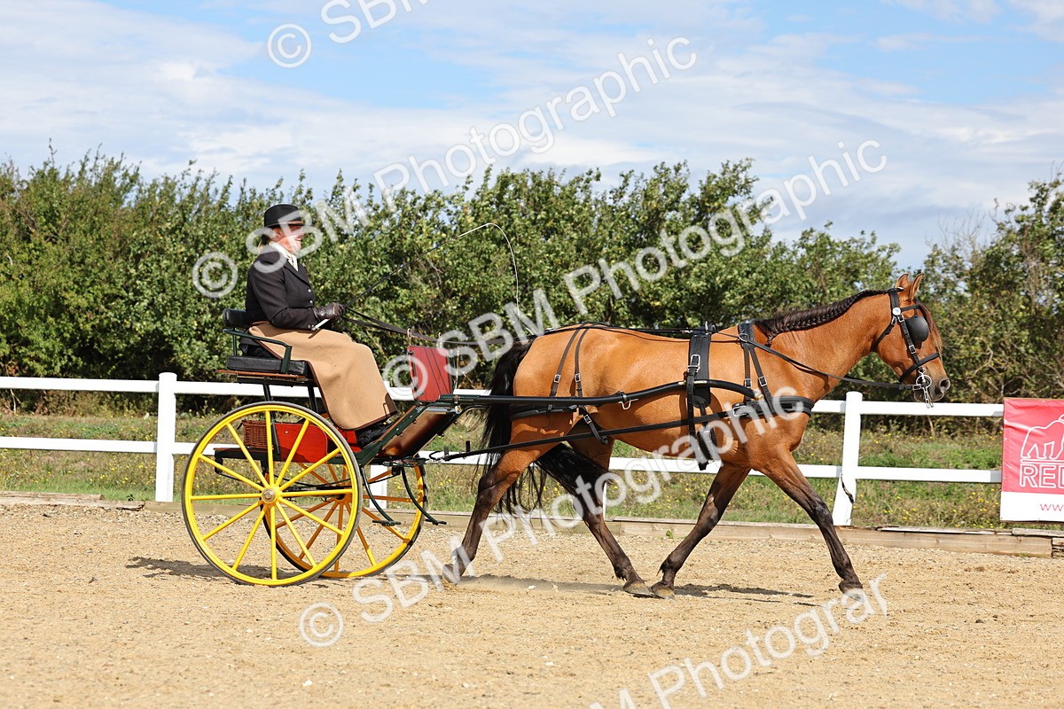 SBM_000897 - Class 8 - Novice Horse or Pony to any vehicle