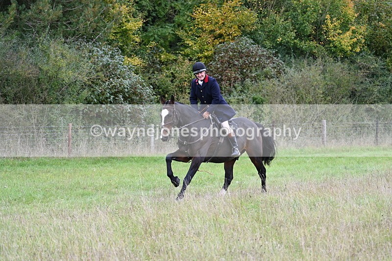 WJ7_3581 - Camera 1 Line 1