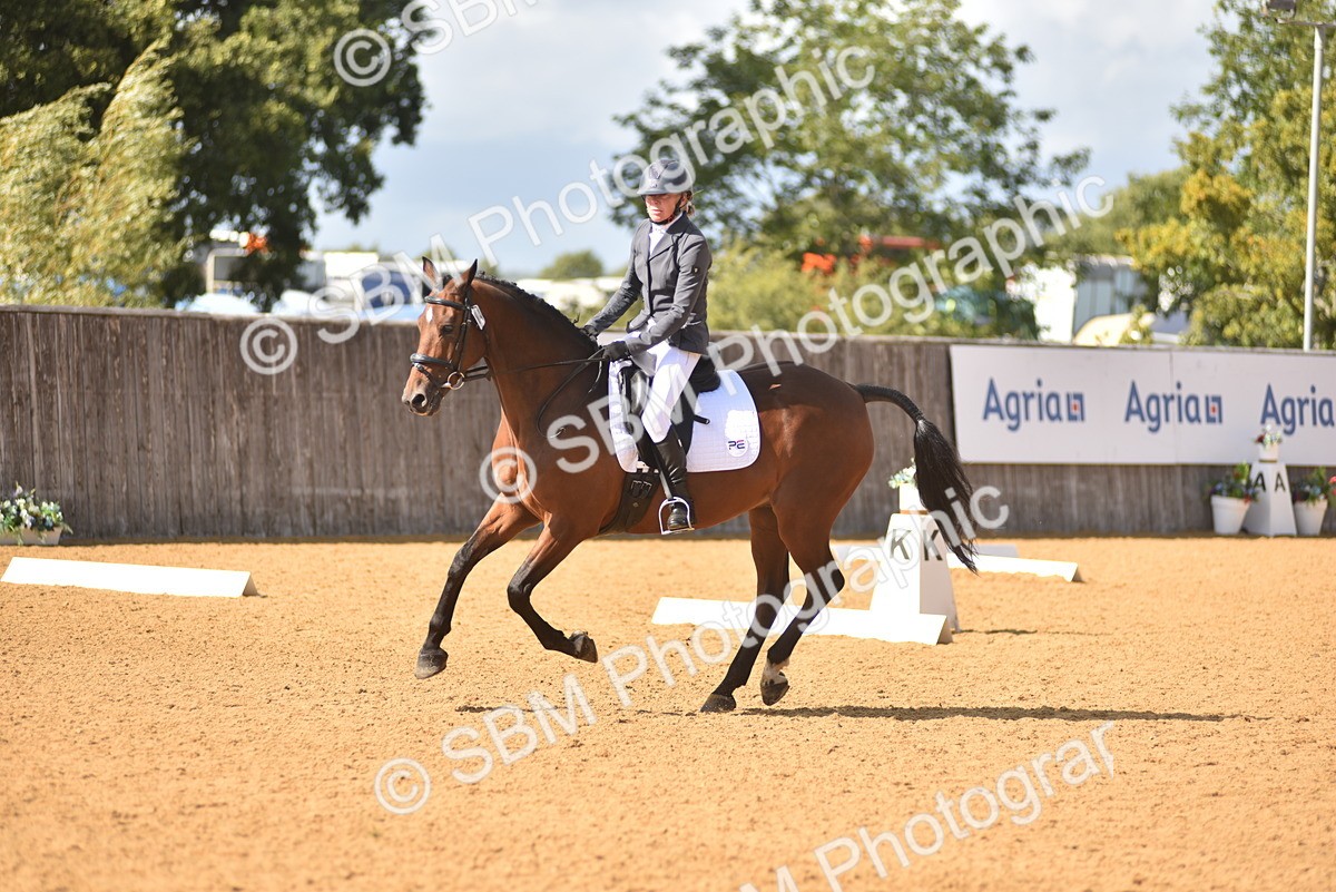 SBM_24215 - D4 - Small Tour Championship Intro 4
