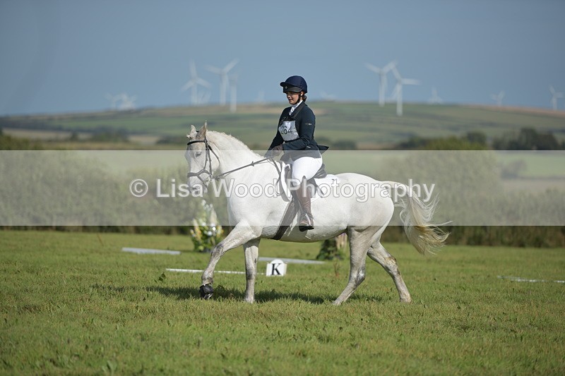 RAY_8118 - Class 2B: Trekenning Open: Dressage