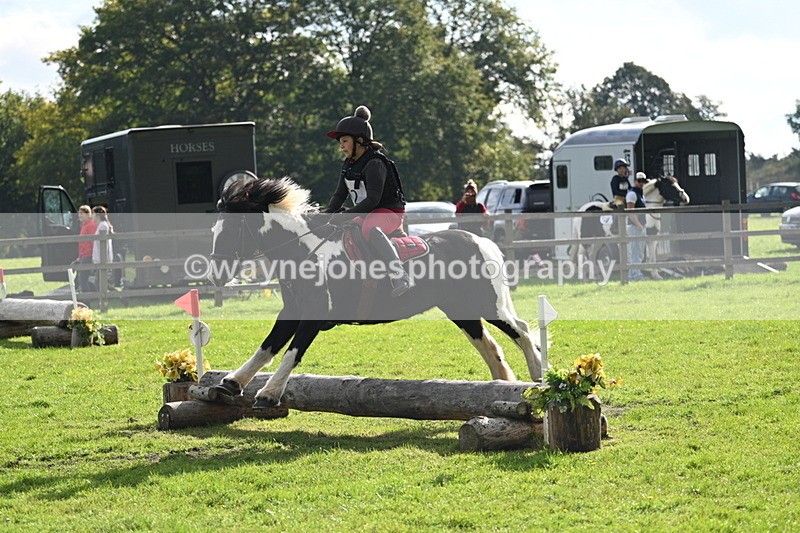 WJ7_3723 - 40cm Time 10:26 to 10:42