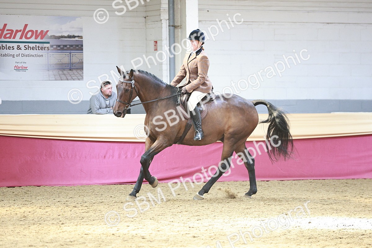 SBM_07075 - Class 10R - Regional Ridden Diamond