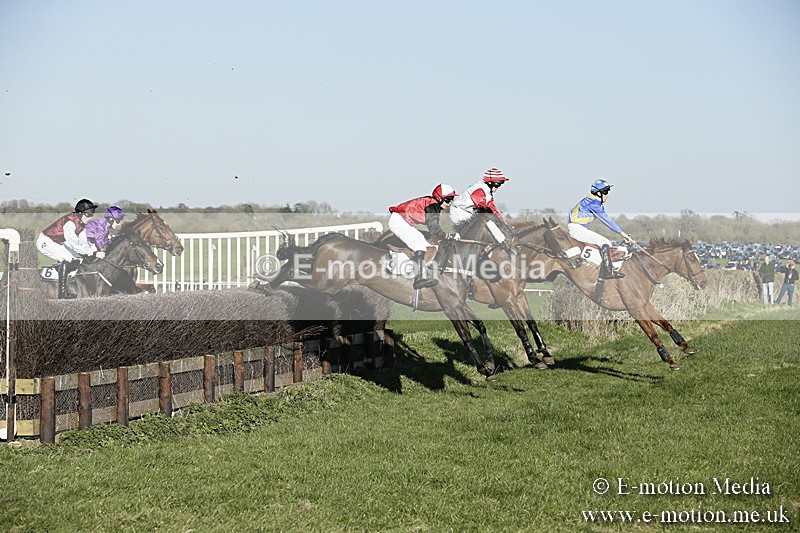 PtP 250317 478 - V.W.H. Hunt Point-to-Point Siddington 25/03/17