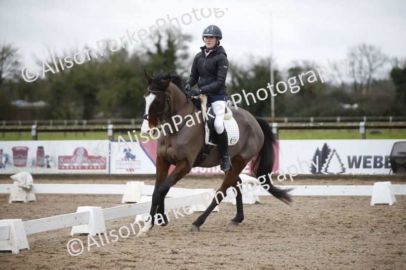 20260127-0264 - Class 16 - BD Novice 2