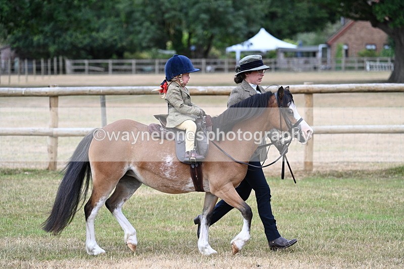 WJ7_9635 - Class 1 Lead Rein Pony