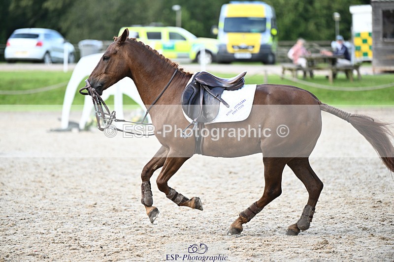 240824X-155050-29782 - 80cm Round 2 15.30 to 16.50