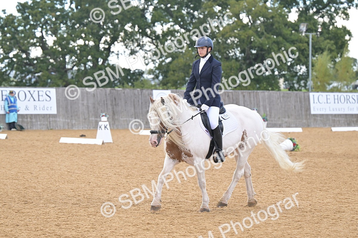 SBM_11226 - D3 - Small Tour Championship Intro 3