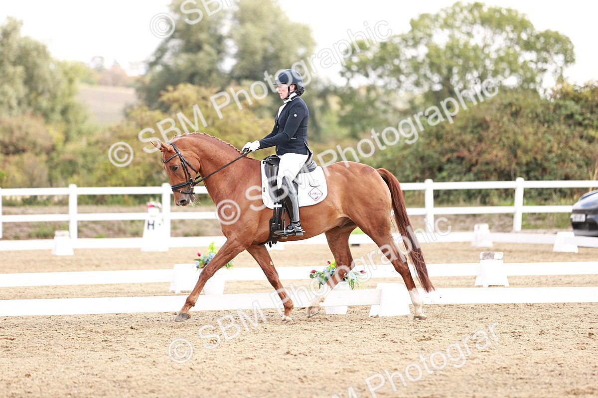 SBM_017672 - Class 11 - Advanced Medium 6