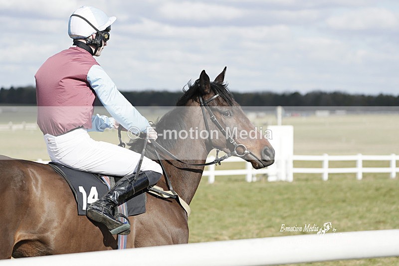 PtP 260223 400 - South & West Wilts Point-to-Point Larkhill 26/02/23