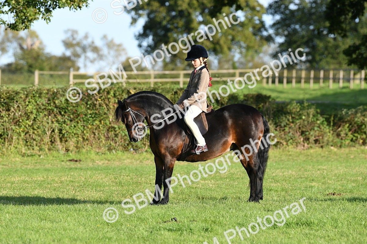 SBM_54035 - S23 - 1st Ridden Mountain & Moorland Pony