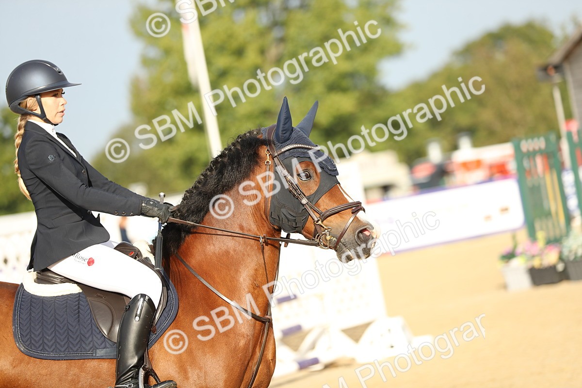 SBM_56048 - J24 - Junior Horse 75cm Championship
