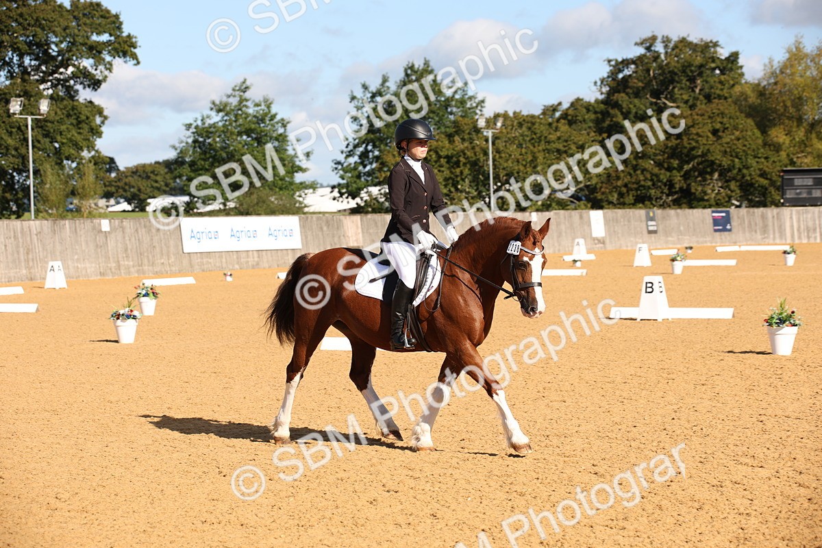 SBM_01904 - D2 Small Tour Championship Intro C