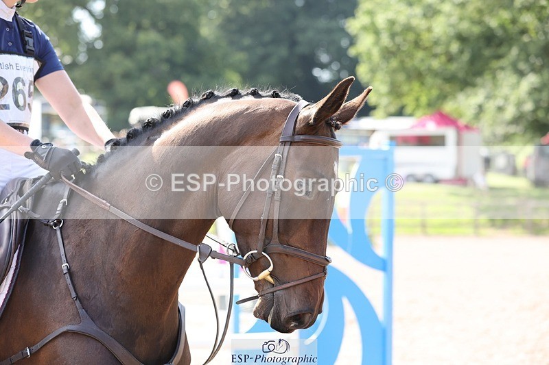 240803-154802-09089 - 265-Bridget_Garlick-DORIS_DAY_III