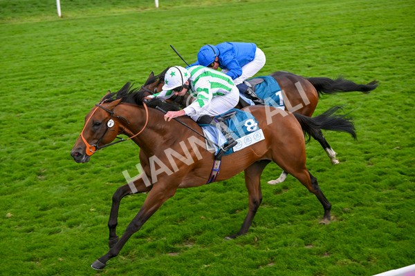 220824-Race 6-Angel Hunter-7856 - Race 6 4.45pm sensory-junction.co.uk Autism Awareness EBF Stallions Nursery Handicap