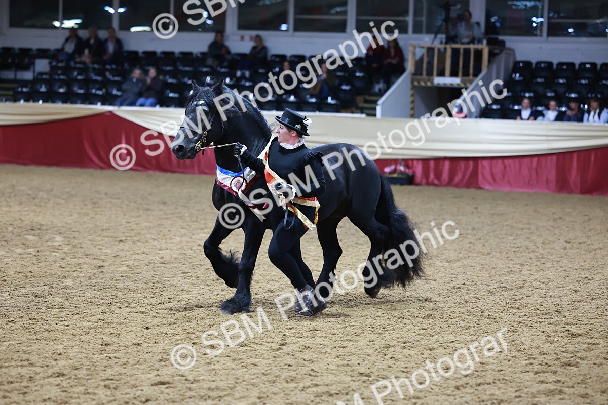 SBM_20439 - Class F - IH Small (148cm & Under)Champ