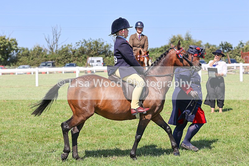 IMG_2223 - Class 37: Pure, Anglo & Part Bred Ridden Arab