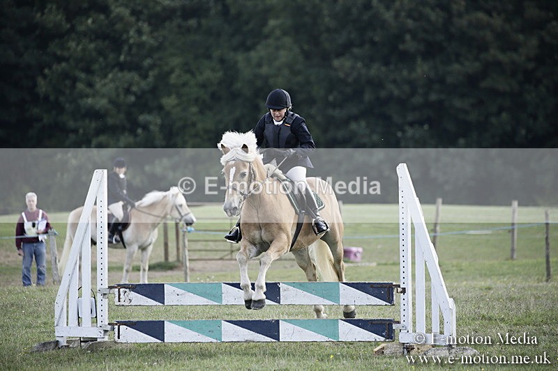 BVR090918 391 - BVRC Dressage and Show Jumping 09/09/18