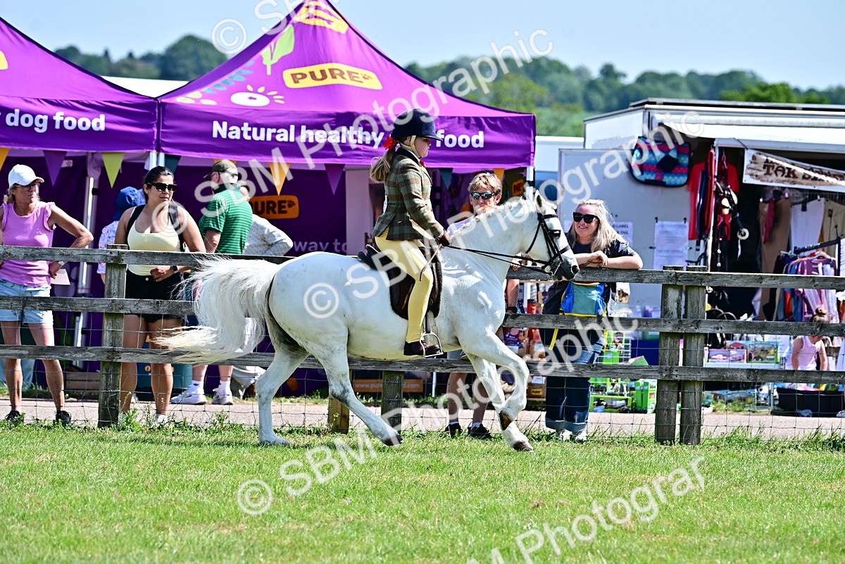 SBM_13954 - Class 95-97 - BSPS LHS Performance Ponies