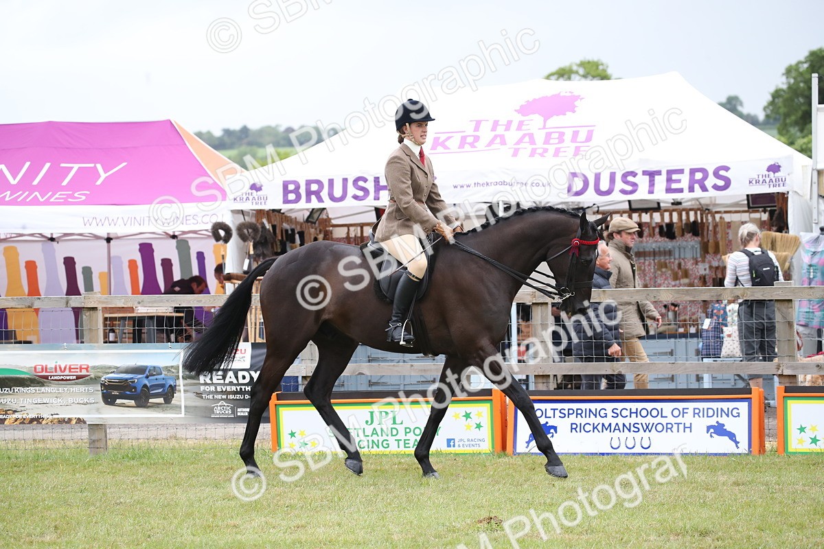 SBM_11382 - Class 94 - LIHS BSHA Racehorse to Showhorse