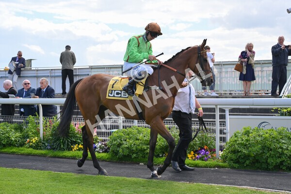 yr11062022r3-11 - Race 3 2.35pm The JCB Stakes