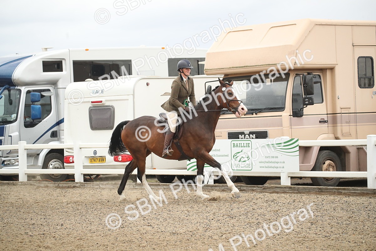 SBM_18433 - Class 509B - Working Veteran - 80cm (20+)