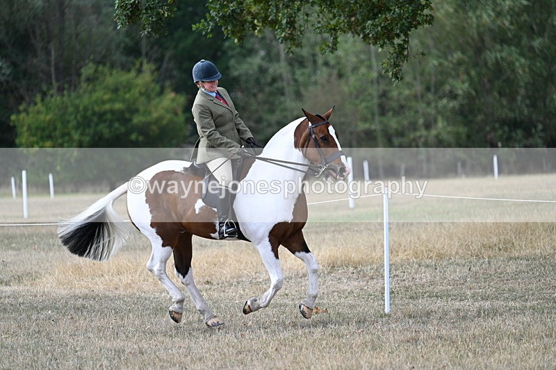 WJ7_7209 - Class 14 Ridden Coloured