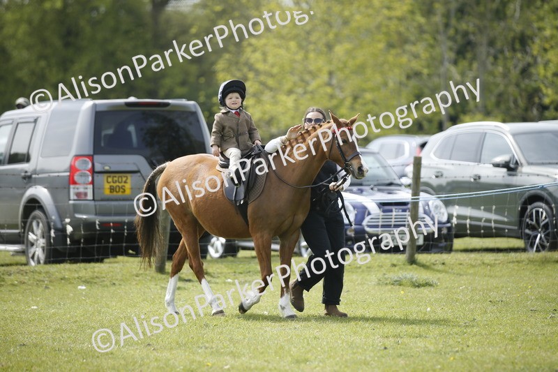 20260426-1872 - Class 7 - Pony Judge Would Most Like To Take Home