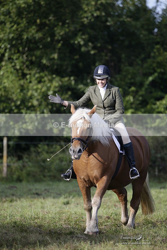 BVRC 120921 19 - Bourne Valley Riding Club UA Dressage & Show Jumping 12/09/21