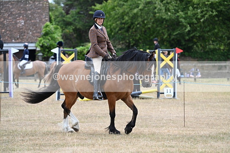 WJ7_0532 - Class 6 Ridden Mountain and Moorland