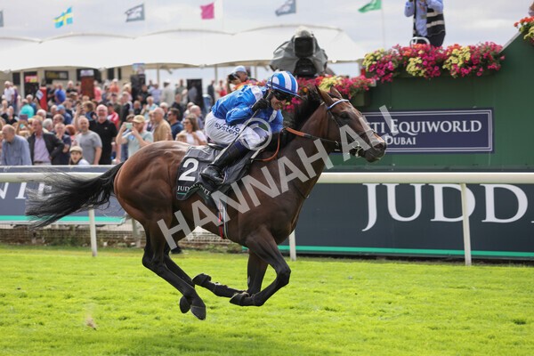 yr17082022r4-76 - Race 4 3.35pm Juddmonte International Stakes (British Champions Series Race)