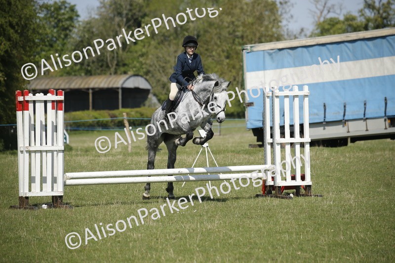 20250427-2160 - Class 13 - Novice Jumping 60cm