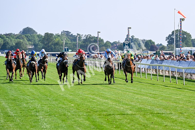 100726-Race 6-Ziggys Triton-0638 - Race 6 17.05pm William Hill Keep Your Raceday Positive Handicap