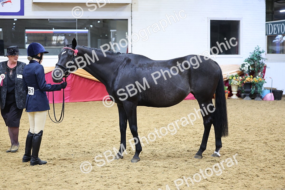 SBM_21099 - Class 902 - Supreme Final IH Veteran